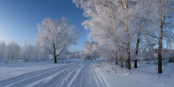 По дороге в зимнюю сказку. / Истра.