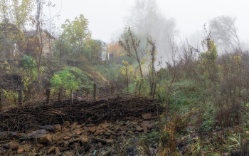 туман по балке / ***