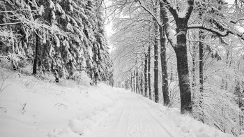 Черно-белая зима / На склонах после обильного снегопада