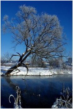 Река Сходня / Зима