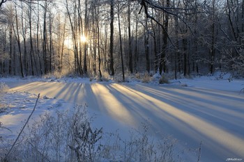 Морозное утро!! / ***