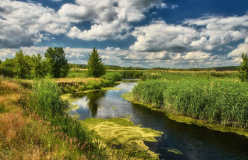 Летний пейзаж / Летний день на реке Северский Донец