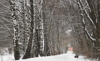 Влажный снег в начале декабря... / Дорожка в парке Кусково...