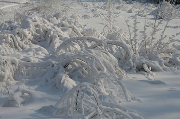 Зимняя зарисовка / Зимняя сказка