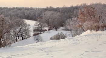 Седой декабрь / Седой декабрь