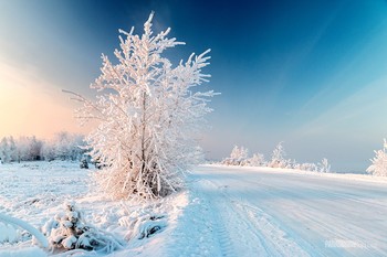 Зимняя сказка / Зимняя прогулка по полям да лесам.
Декабрь 2018 года.