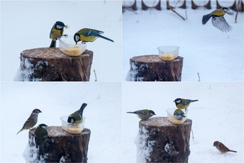 Трапеза / ***