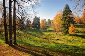 Осень в Ораниенбауме. / Ораниенбаумский парк. Октябрь 2018.