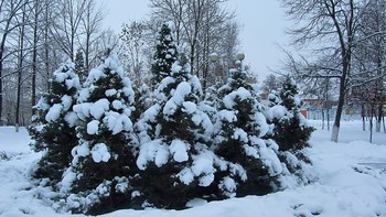 На Рождество,Орше Витебская область / Два дня шел снег,к Рождеству город стал снежно сказочным