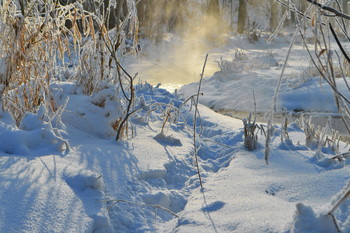 &nbsp; / декабрь