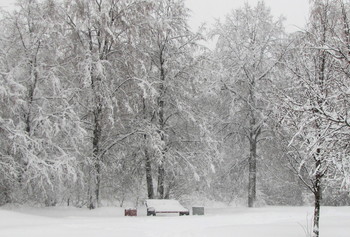 Все в снегу! / Снегопад в Москве