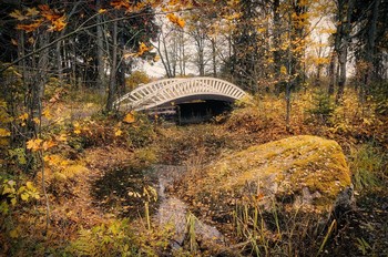 Осень в парке Монрепо. / Парк Монрепо в Выборге. Октябрь 2018.