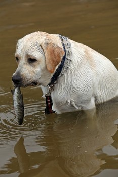 Рыболов / Можайское водохранилище