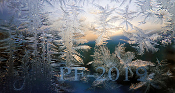 PF-2019 / рисует узоры мороз