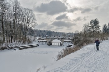 PF-2019 / Зимой в Павловском парке.