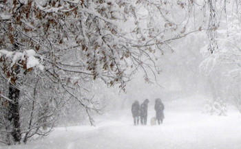 На прогулку в любую погоду! / Снегопад-парк