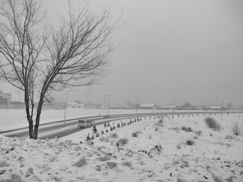Черно-белая зима... / ...нас в дорогу позвала...