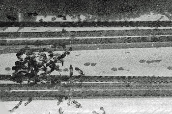 Поговорили... / ***