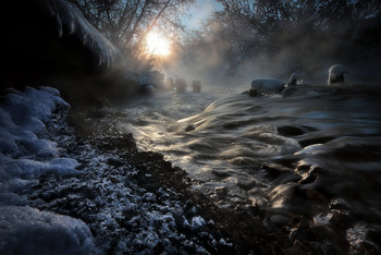 В хаосе декабрьского заката... / ***