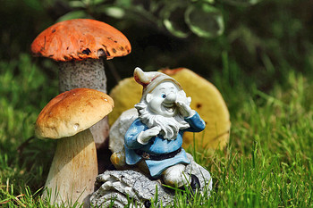 Новогодний фейк &quot;Грибы пошли!&quot; / С Новым годом, друзья!