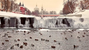 В ледяном плену 31.12.2018 года / В последний день ушедшего года мороз сильнее сковал ледяным панцирем водопад на реке Орлик, полынья значительно уменьшилась и зимующим птицам стало нелегко, они выбирались на берег по снегу, где заботливые горожане подкармливали их.