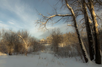 Декабрьский полдень / Природа Вятки