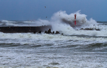 Шторм / Калининградская обл.