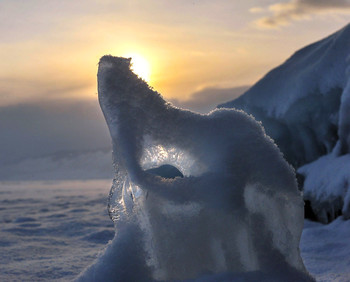 Волк / Льдинка, похожая на волка :)
