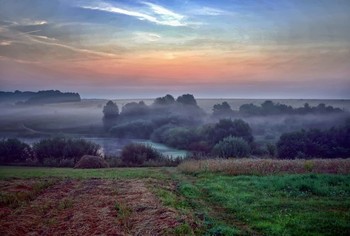 утро и туман... / Август.Холодает.На природу опускается туман...