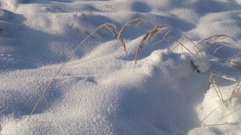 Вот такой он январь / Иней и снег с травой....