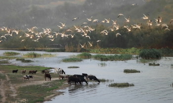 ХАДЖИБЕЙ / одесса