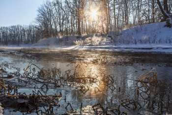 Не замерзающий ручей / 7 января 2019. 
Самарская область.
Сотни родников вдоль ручья не дают ему замерзнуть в любой мороз.