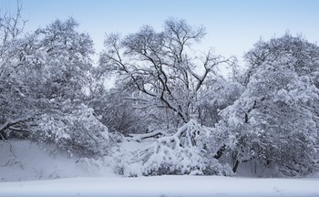 Зимний наряд / Белгородская область 2019г.