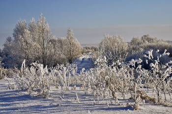 Зима в деревне. / Зима в деревне за огородами.