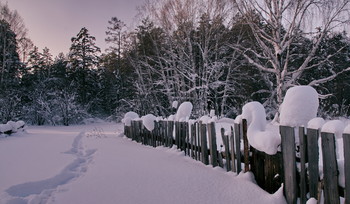 Зимние ритмы. / Томская область.