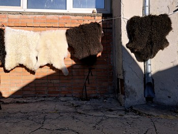 Солнечный проблеск / /\/\/\/\