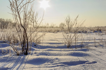 Солнечный проблеск / Солнечным морозным утром на краю поля. Когда зимой солнце низко над горизонтом. Заснеженное поле, кусты с инеем, снежные бугорки, как на закате. Зима, морозно, снег блестит на солнце... Снежное поле за лесом.