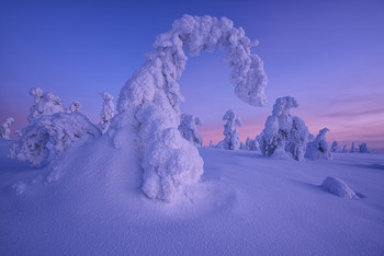 В стране снежных великанов... / Лапландия