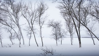 &nbsp; / Белгородская область, Корочанский район 2019г.