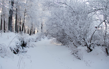 Идут белые снеги... / Красноярский край г.Железногорск