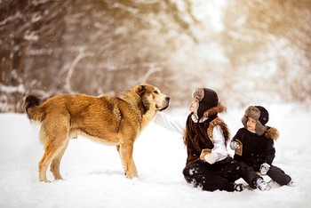 Зимняя прогулка / Братики с собакой