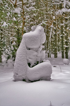 Снежные заносы в лесу. / Снежные зарисовки в лесу.