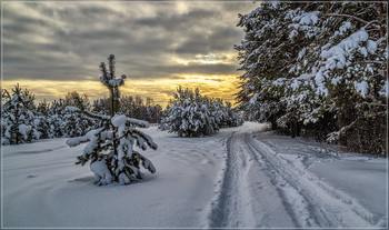13 января, Подмосковье, Дрезна / 13 января, Подмосковье, Дрезна