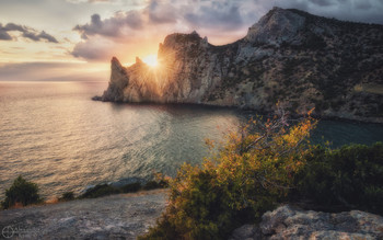 Черноморским вечером... / Россия, Крым, Новый Свет. Вечер на мысе Капчик с деревцем фисташки туполистной, можжевельником и солнцем между скалами г. Караул-Оба.