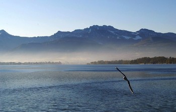 Утро на озере Кимзее / Утро на озере в Баварии.