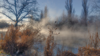 Полёт над утренним туманом / утро на болоте