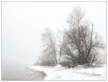 Черным по белому / Зимний туман