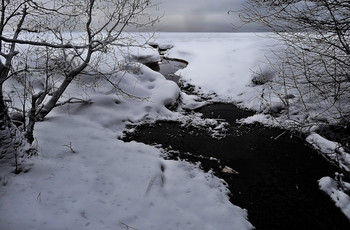 Черным по белому / Не замерзший ручей впадает в замерзший Финский залив