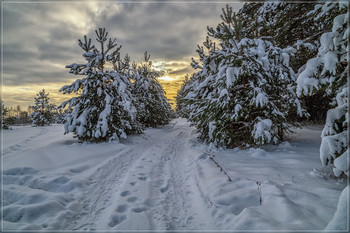 13 января, Подмосковье, Дрезна 2 / 13 января, Подмосковье, Дрезна