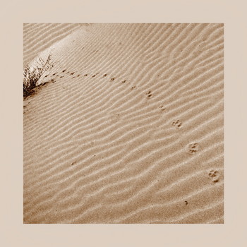 пустыня... / Здесь жарко, здесь время течет песком, скрипит на зубах, попадает в поры .. 

https://www.youtube.com/watch?v=hYSQE6ooFjU